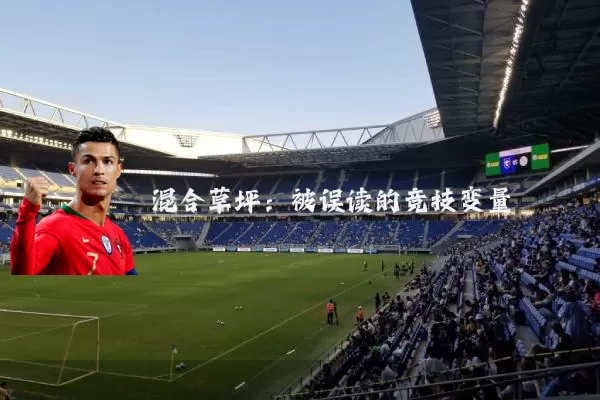 混合草坪:被误读的竞技变量
