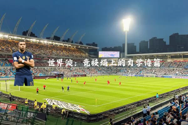 世界波:竞技场上的力学诗篇